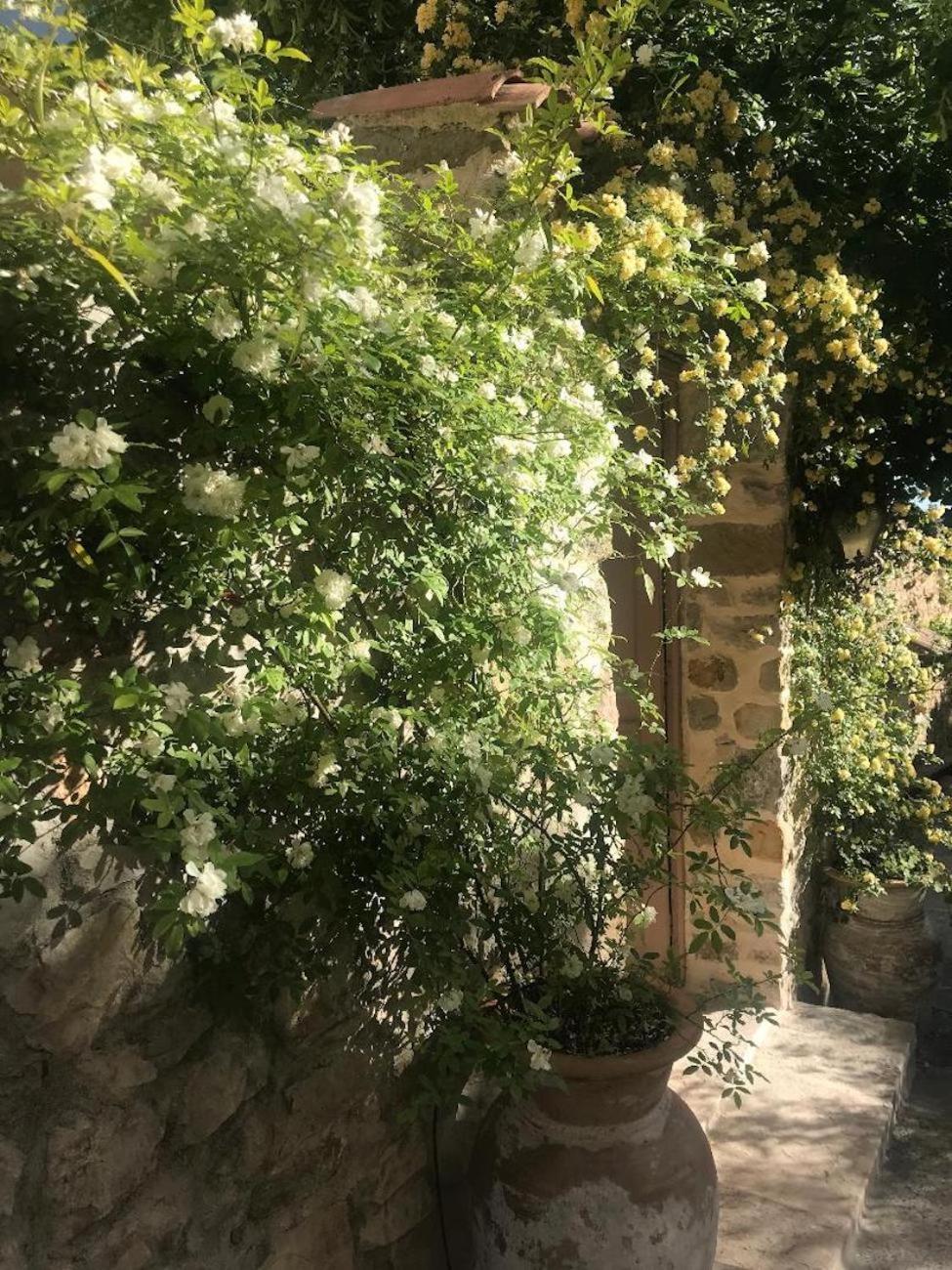 Les Vieux Murs Montfort  Esterno foto