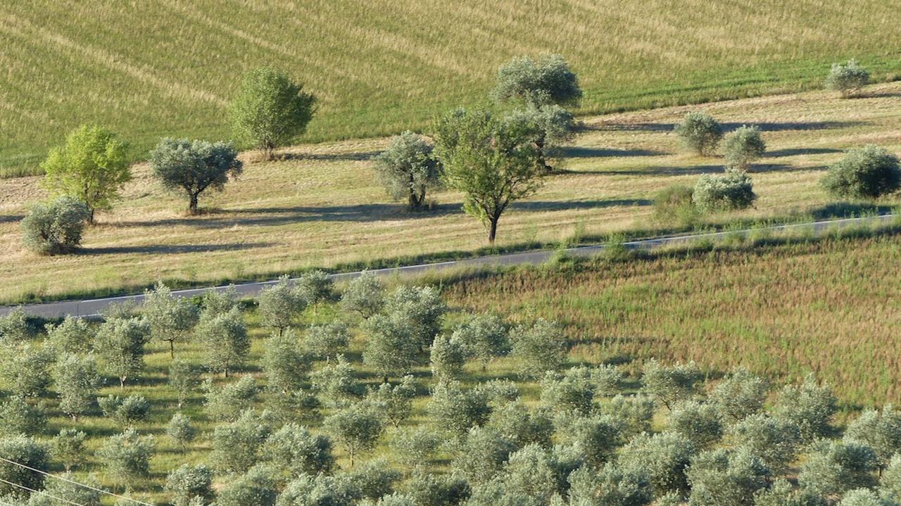 Les Vieux Murs Montfort  Esterno foto